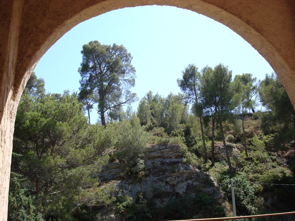 DSC00967
